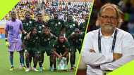 Belgian manager readies ex-Nigeria player as assistant if given Super Eagles role: Report