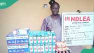 NDLEA nabs 65-year-old grandma with ‘bottles of codeine' in Lagos