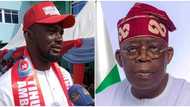 APC chieftain rates President Tinubu's performance, reveals when ministerial list will be released