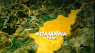 Adamawa town Michika reportedly under Boko Haram attack