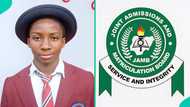 JAMB: Lagos school celebrates as 19 students perform well in 2026 UTME, 2 boys score over 340