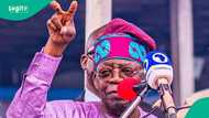 Why Tinubu’s reforms in oil and gas regulation are worth celebrating, energy group explains