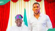 Boxing star Anthony Joshua storms Lagos, visits Tinubu at Bourdillon as he gifts president present