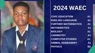 WAEC result of student from private school surfaces as she gets A1 in 8 subjects including English