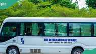 Nigerians react as appeal court overturns judgment allowing hijab at UI International School