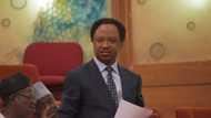APC Presidential Primary: Shehu Sani reveals who Buhari will pick if governors give him 5 names to choose from