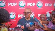 LP, NNPP, Jam’iyyu 4 da Peter Obi zai iya komawa kafin zaben 2023 bayan watsi da PDP