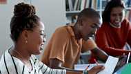 Oyinbo man shares list of the 10 most useless courses to study in university, college or poly
