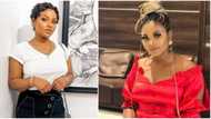"Clout is a disease": Heavy backlash as Tega expresses desire to start talk show about successful marriages
