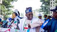 Live updates: Tinubu shakes northern Nigeria with mega rally, sends shivers to Atiku, Kwankwaso