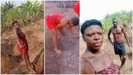 Valentine's Day on the farm - Young Nigerian couple tend to their crops, their photos, video stir reactions