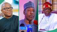 Peter Obi sends message to Tinubu as Nigerian gov accuses politicians, soldiers of conniving with Boko Haram