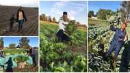 Meet 26-year-old lady who runs two farms and has 16 employees, her story will inspire you