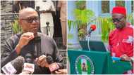 2023 elections: APGA to support Peter Obi, Labour Party? Governor Soludo reveals final decision