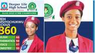 Nkechinyere Umeh: UTME highest scorer gets N2.5m reward