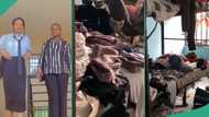 "We forgot to lock the door": Students who resumed school discover that cats took over their room