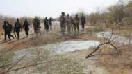 Over 200 terrorists killed, 80 motorcycles destroyed in Niger, says state govt