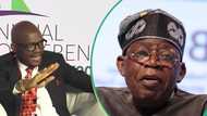 Economic hardship: "Your policies affecting us," Estate surveyors send crucial message to Tinubu