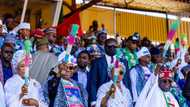 2023 presidency: Northerners, some APC chieftains will betray Tinubu, prominent pastor makes stunning prophecy