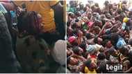 APC mega rally in Lagos: Stampede at Teslim Balogun stadium as irate fans nab Naira Marley after performance