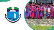 UNIPORT cut-off mark, courses and school fees in 2026/2027