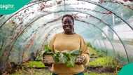 Farm Junction Foundation launches Most Beautiful Farmer Empowerment Programme