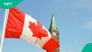 Japa: Boost as Canada adds 75,000 new jobs, survey released