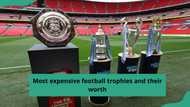 Top 12 most expensive football trophies and their worth in 2024