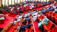 Senate confirms INEC commissioner nominee accused of being an APC chieftain