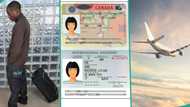 "Direct work visa": Man pays N30 million to get Canadian travel documents, discovers it is fake
