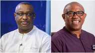 Strong APC chieftain reacts as Peter Obi demands 7 weeks to produce 50 witnesses at tribunal