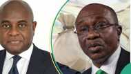 Emefiele is Nigeria’s worst CBN governor, Moghalu, gives reason