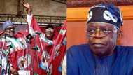 2023: Hopes dashed for Tinubu as APC chieftain names serving governor who'll succeed Buhari