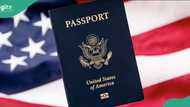 List of 4 things to do if your US passport is lost or stolen while abroad