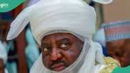 Dethroned Bayero at Kano Emir's palace to accept royal greetings? Gov’s aide reacts