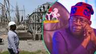 FG announces plan to sell five power plants located in Kogi, 4 other states for $1Bn