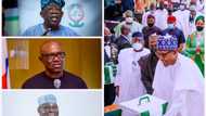 Buhari passes fuel subsidy removal to any of Atiku, Tinubu, Obi that emerges Nigeria's next president