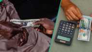 New Dollar exchange rate as naira appreciates at official, black market