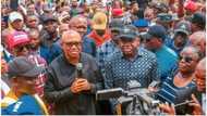 Peter Obi makes first visit to PDP governor, reveals mission