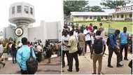COVID-19: ASUU, vice chancellors clash over reopening of universities
