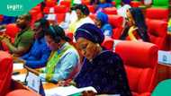 Breaking: FCT Senator Kingibe dumps Labour Party, announces next move