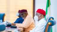 12 key resolutions reached by southern governors after their meeting in Asaba