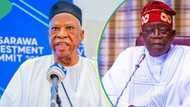 Adamu reveals what Tinubu told him after he resigned as APC chairman