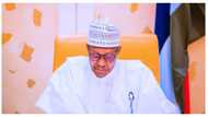 PIA: Gwamnati ta janye damar musamman da aka ba BUA, Dangote su shigo da mai daga waje