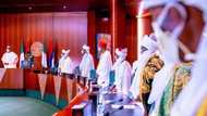 Insecurity: Military must shoot anyone carrying AK-47 illegally, Buhari insists after meeting Ooni, Sultan