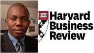 Igbo apprenticeship system finally approved by Harvard Business Review