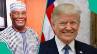 Atiku ya yi murna da cin zaben Trump, ya nemi taimakonsa a zaben 2027