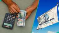 World Bank compares naira depreciation among African currencies