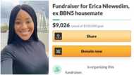Misplaced priority - Nigerians react as Erica's GoFundMe receives over N3m hours after disqualification