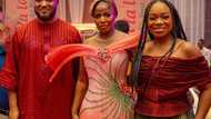 GBFoods makes history with 5 breakthrough product launches in one day